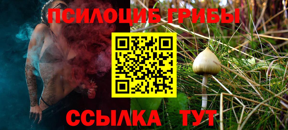 Галлюциногенные грибы ЛСД Рассказово
