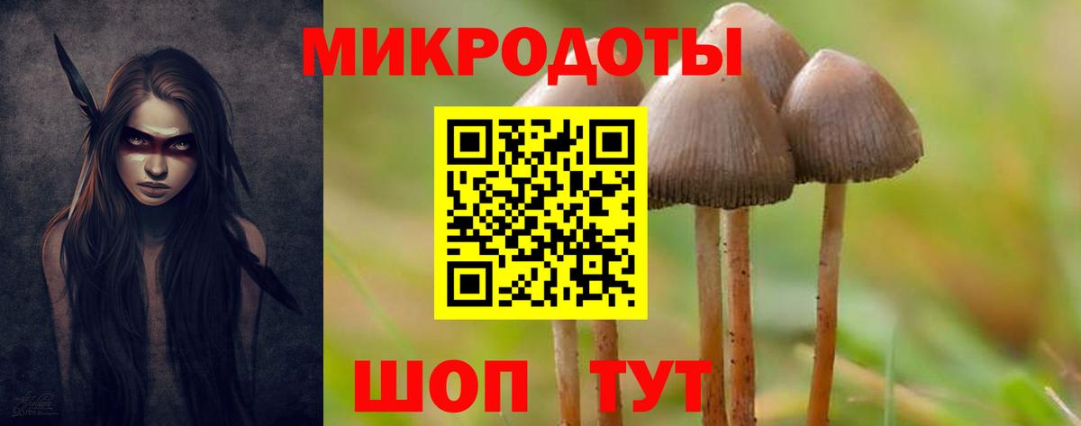 Рассказово  Псилоцибиновые грибы MAGIC MUSHROOMS  Псилоцибиновые грибы Magic Shrooms  купить наркоту  Вход с VPN 